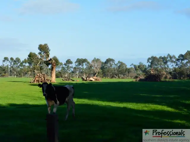 Fifth view of Homely rural property listing, 1679 Somers Road, Waroona WA 6215