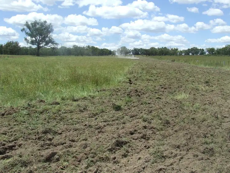 Second view of Homely rural property listing, 529 Grove Road, Inverell NSW 2360