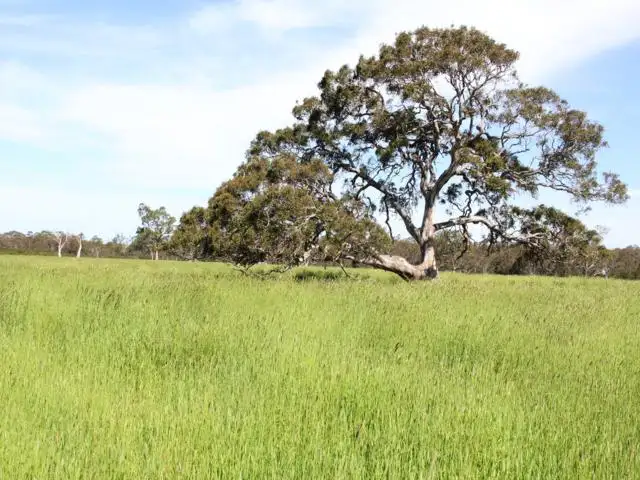 Third view of Homely rural property listing, 745 Lower Cairnbrook Road, Glengarry VIC 3854