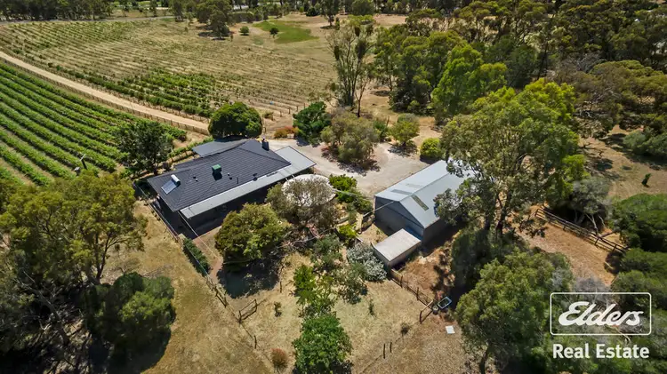 Fifth view of Homely house listing, 25 Needles Road, Williamstown SA 5351