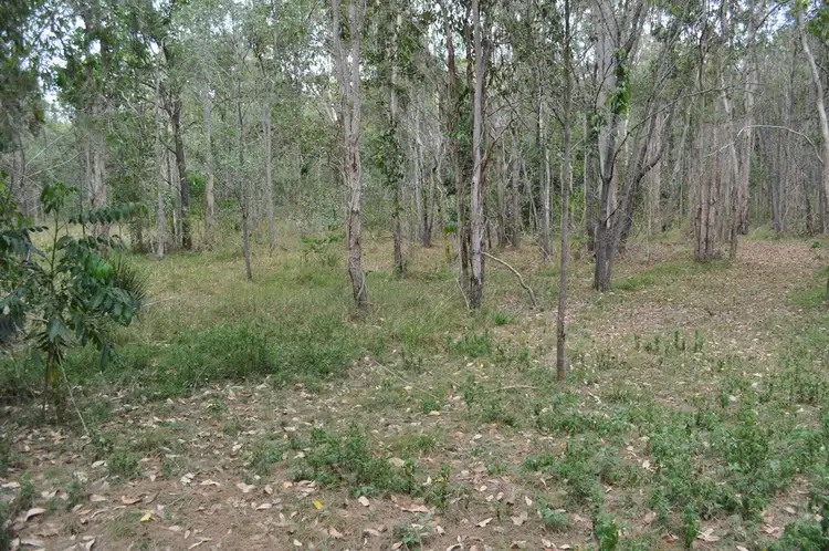 Seventh view of Homely rural property listing, Lot 64 Creevey, Captain Creek QLD 4677