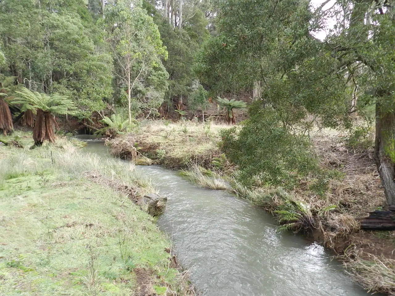 Main view of Homely land listing, 1153 Deep Creek Road, Mount Hicks TAS 7325
