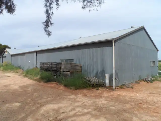 98 GRATWICK RD, Loxton SA 5333