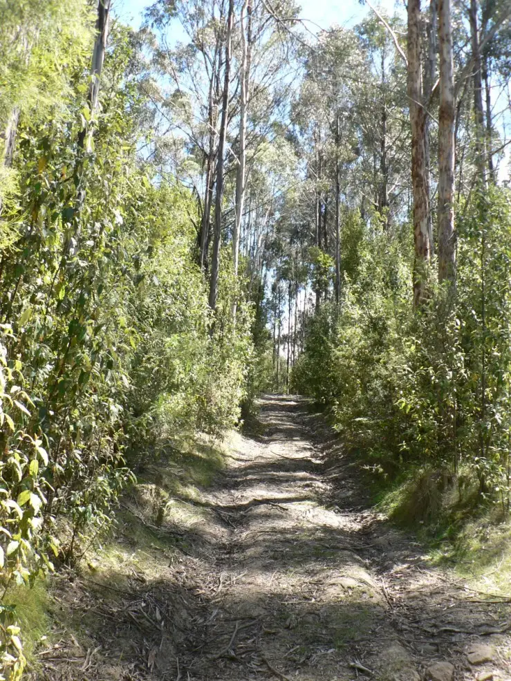 Fifth view of Homely land listing, 5370 Channel Highway, Gordon TAS 7150