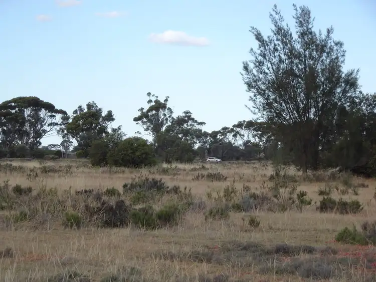 Seventh view of Homely rural property listing, 649 Bullock Hills Road, Wagin WA 6315