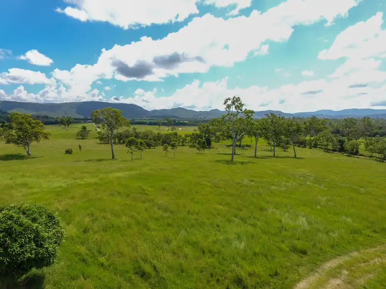 Fourth view of Homely rural property listing, 675 Cone Creek Road, Koumala QLD 4738