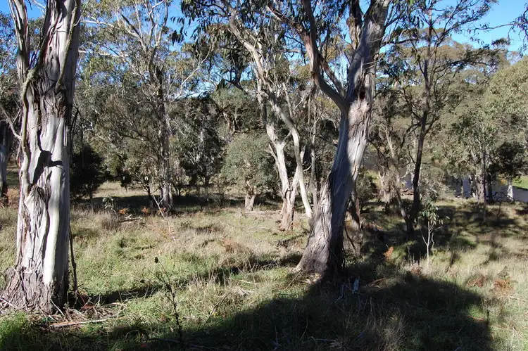 Sixth view of Homely land listing, 11 - 17 Cavanagh St, Ebor NSW 2453