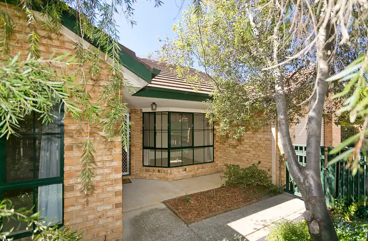 4/49 Dooland Court, Nicholls ACT 2913
