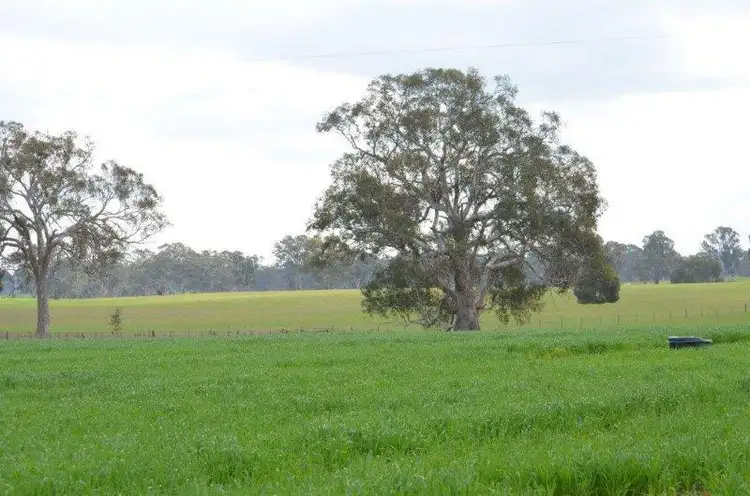 Sixth view of Homely rural property listing, 565 Koijak Lane, Apsley VIC 3319