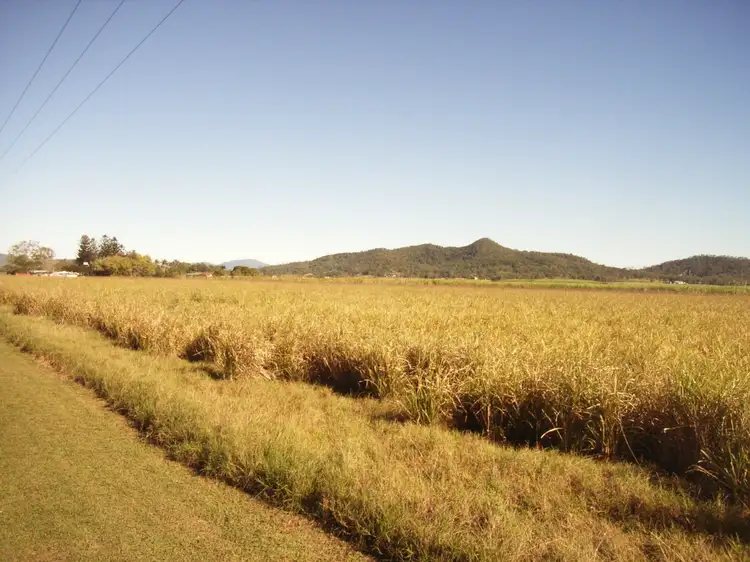 Third view of Homely rural property listing, Lot 10 Clausens Road, Homebush QLD 4740
