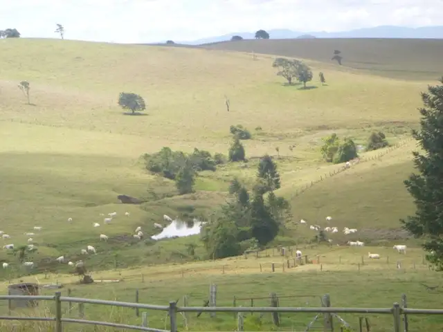 Main view of Homely rural property listing, Address available on request