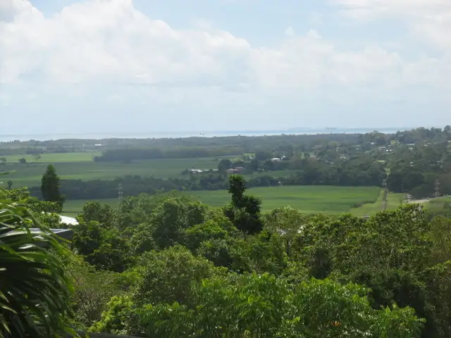 Second view of Homely house listing, 11 Buckinghamia Cl, Redlynch QLD 4870