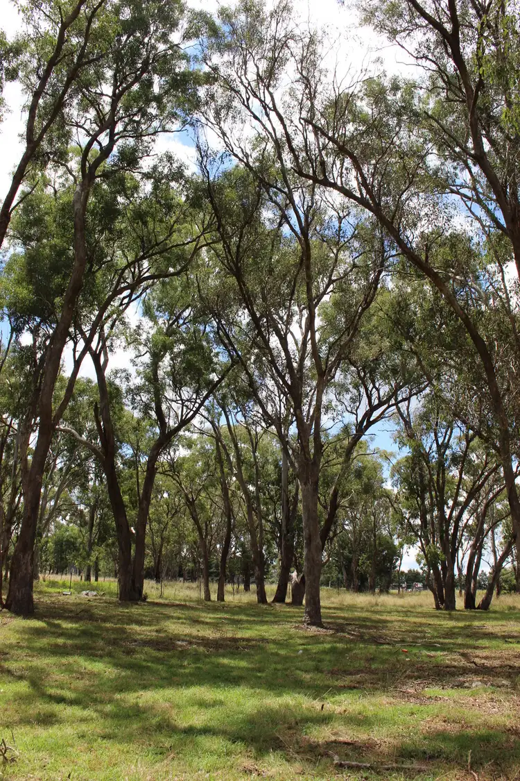 Second view of Homely land listing, Lot 3 Holleys Lane, Tenterfield NSW 2372