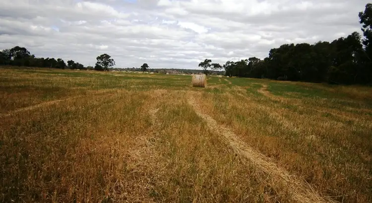 Second view of Homely rural property listing, Lots Coalfields Highway, Muja WA 6225