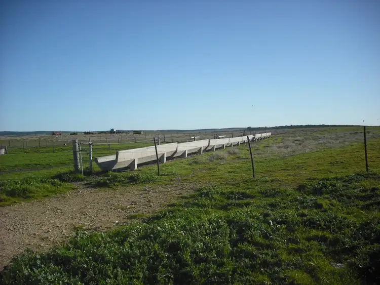 Seventh view of Homely rural property listing, 678 Butler Road, Coonalpyn SA 5265