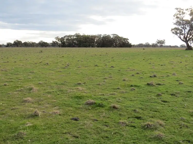 Third view of Homely rural property listing, LOT 36 Dahwilly Road, Deniliquin NSW 2710