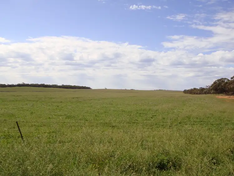 Main view of Homely rural property listing, 49 and 51 Tori Hills Road, Karoonda SA 5307