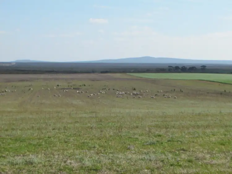 Seventh view of Homely rural property listing, Lot 153 Hopetoun-Ravensthorpe Rd, Hopetoun WA 6348