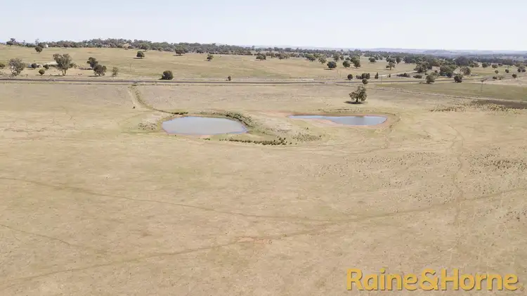 Sixth view of Homely rural property listing, 229 Combo Road, Geurie NSW 2818
