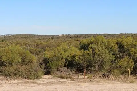Fifth view of Homely rural property listing, Section 60 Ladara Bore Road, Ki Ki SA 5261