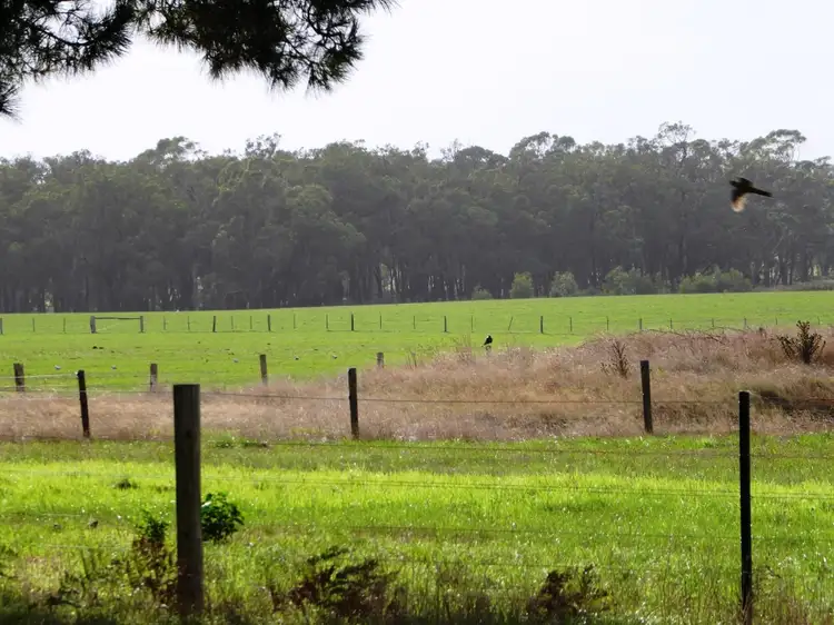 Lot 1 - 3666 Henty Highway, Heywood VIC 3304