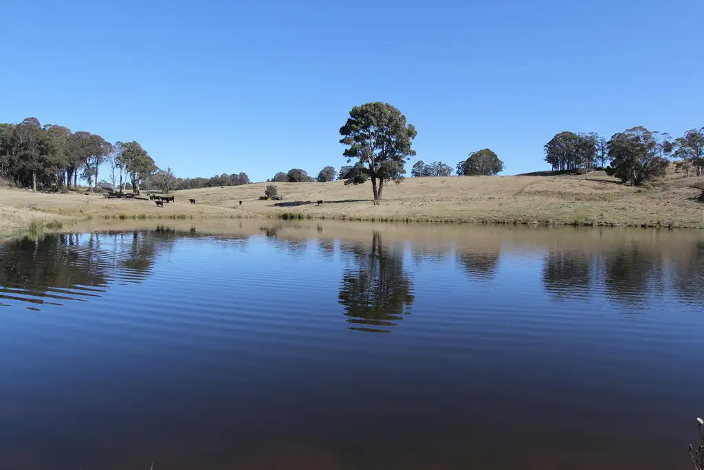 Main view of Homely rural property listing, 1693 Nowendoc Road, Niangala NSW 2354
