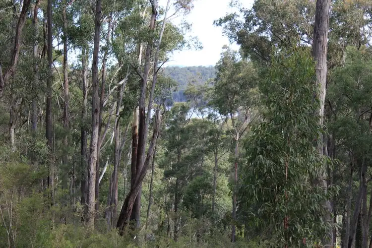 Sixth view of Homely land listing, Lot 19 Old Nelligen Road, Nelligen NSW 2536