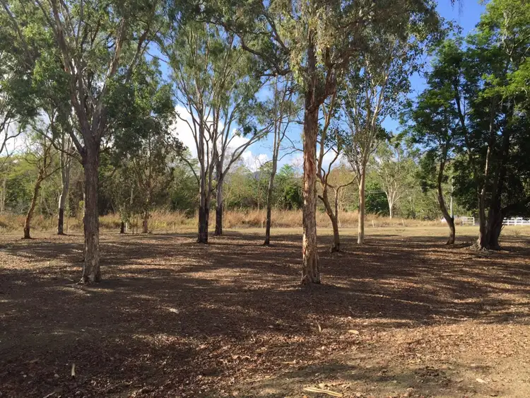 Second view of Homely land listing, 411 Mangrove Road, Woodwark QLD 4802