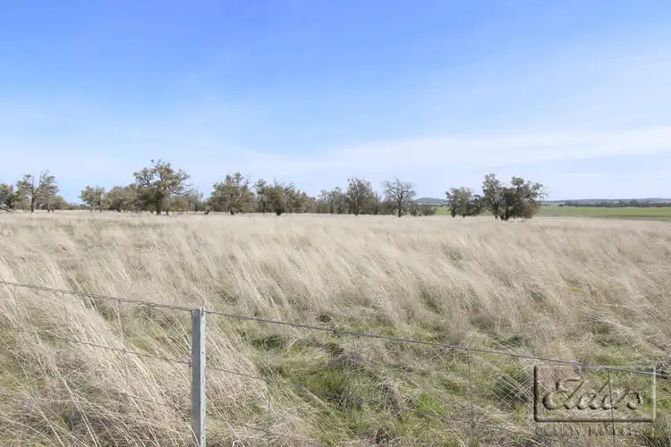 Sixth view of Homely rural property listing, Cnr St Arnaud-Wycheproof Rd & Charlton-Jeffcott Rd, Wooroonook VIC 3525