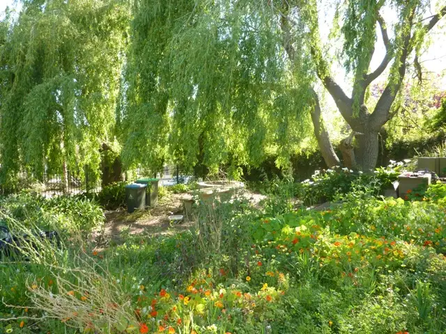 Sixth view of Homely land listing, Lot 101 Dearman Rd, Lobethal SA 5241