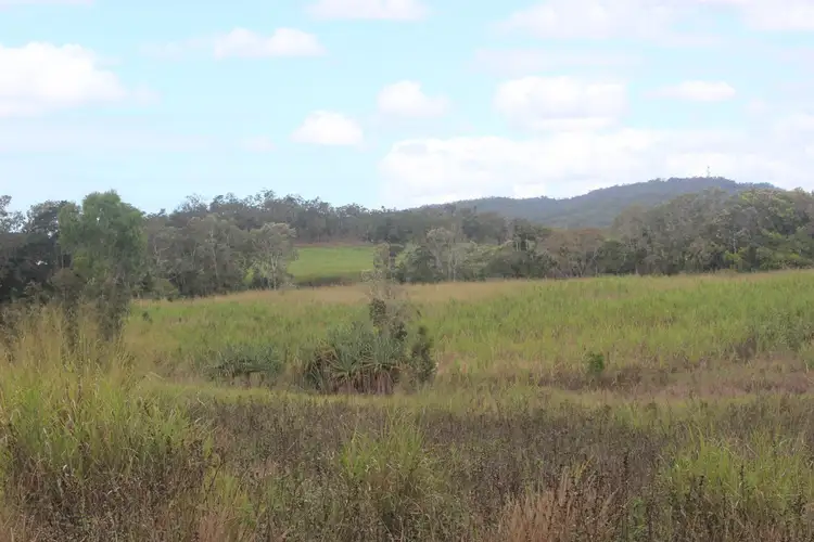 Second view of Homely rural property listing, 2896 Bruce Hway, Hampden QLD 4741