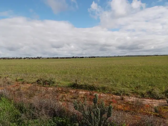 'Garns' Koorda-Wyalkatchem Road, Wyalkatchem WA 6485