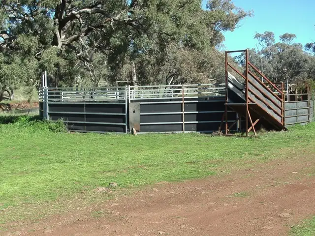 Fifth view of Homely house listing, 693 Swinging Ridges Road, Ardglen NSW 2338
