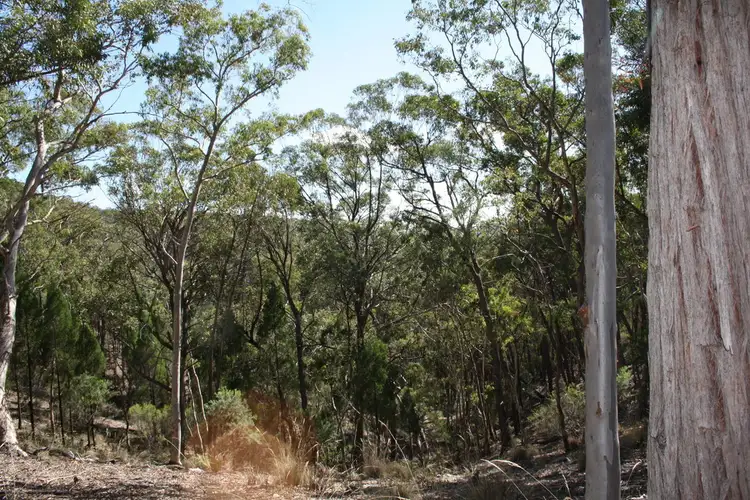 Sixth view of Homely rural property listing, 355 Gordons Gully Road, Mudgee NSW 2850