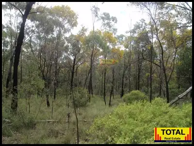 Main view of Homely rural property listing, Lot 6 Wattle Crt, Millmerran Woods QLD 4357