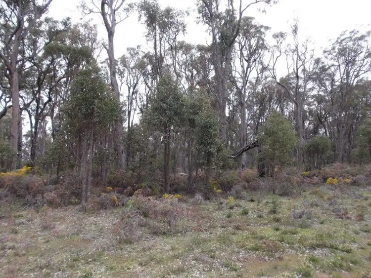 Seventh view of Homely rural property listing, LOT 2718 Ashley Road, Manjimup WA 6258