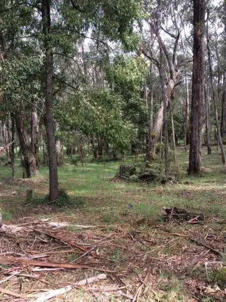 Fifth view of Homely land listing, Lot 110 Dales Creek Avenue, Dales Creek VIC 3341