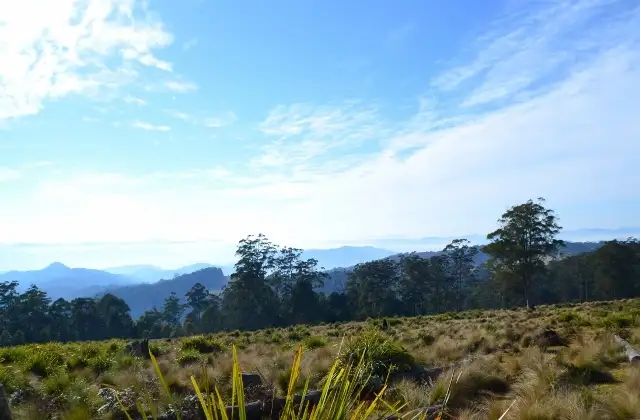 Main view of Homely rural property listing, Lot 145 Costigans Road, Yarras NSW 2446