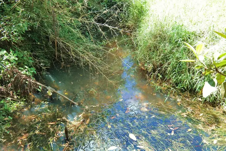 Seventh view of Homely house listing, Address available on request