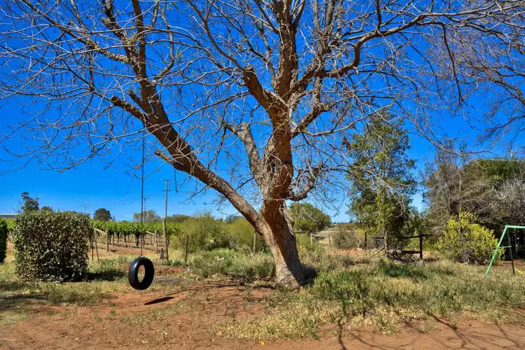 Second view of Homely house listing, 87 Azolia Street, Red Cliffs VIC 3496