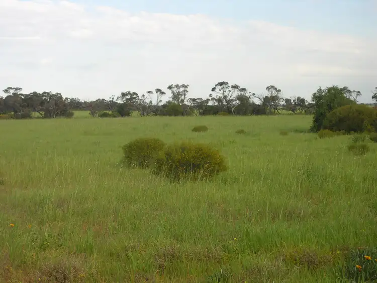 Fifth view of Homely land listing, Sec 530 Gory Road, Owen SA 5460