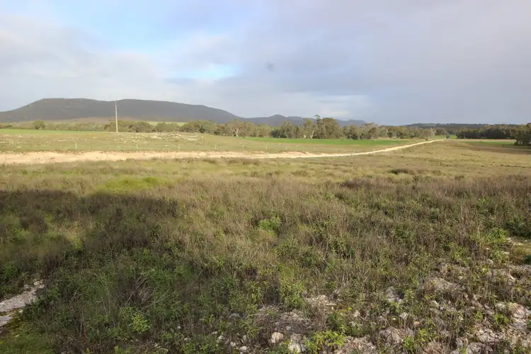 Second view of Homely rural property listing, Lot 101 Eucalyptus Drive, Coulta SA 5607