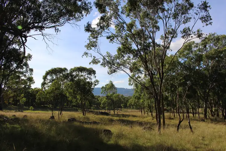 Second view of Homely rural property listing, 78 Platypus Valley, Tenterfield NSW 2372