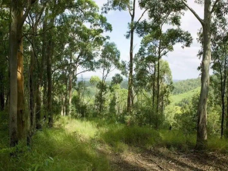 Fourth view of Homely land listing, 475 Campbells Pocket Road, Wamuran Basin QLD 4512