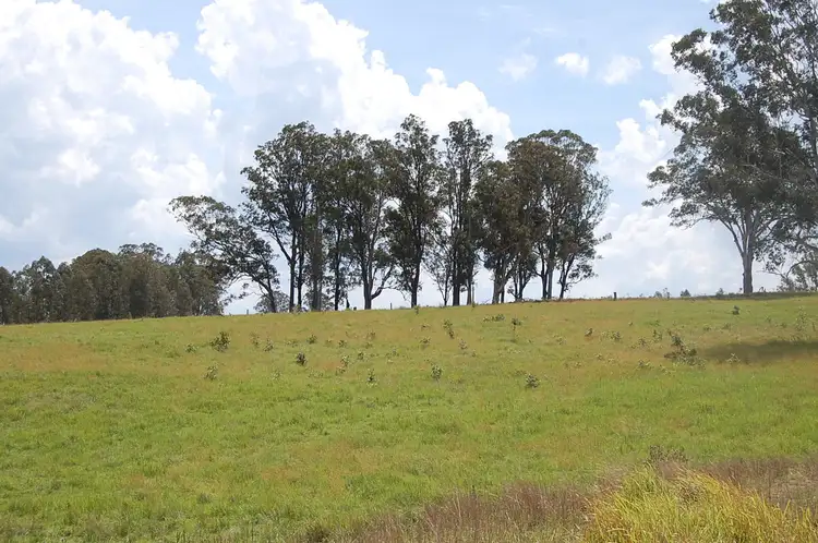 Fourth view of Homely rural property listing, Lot 4 Clarence Way, SANDILANDS via, Mallanganee NSW 2469