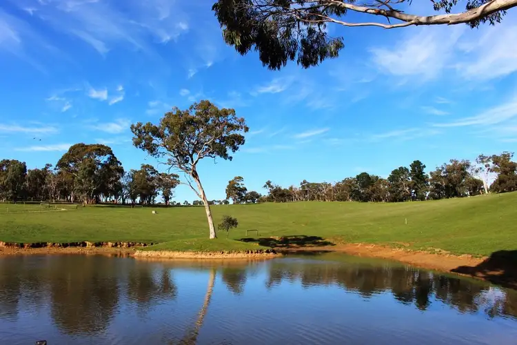 Main view of Homely rural property listing, 153 Pocock Road, Echunga SA 5153