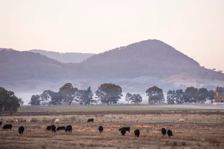 Lot 5 Bombira Estate, Mudgee NSW 2850
