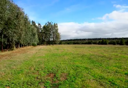 Third view of Homely house listing, 801 Dandaragan road, Dandaragan WA 6507