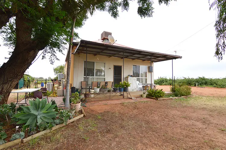 Main view of Homely house listing, 23 Oleander Drive, Dareton NSW 2717