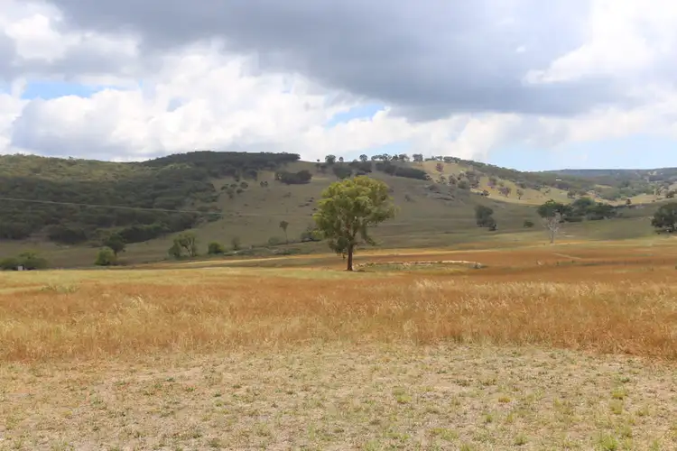 Third view of Homely rural property listing, 63 Wylchris Lane, Mount Rankin NSW 2795